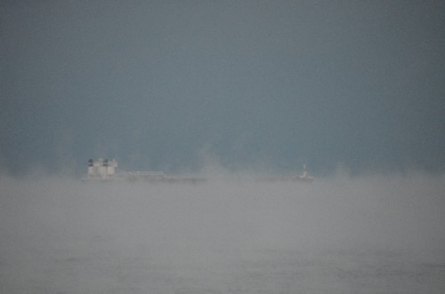 Sights from the beach biker