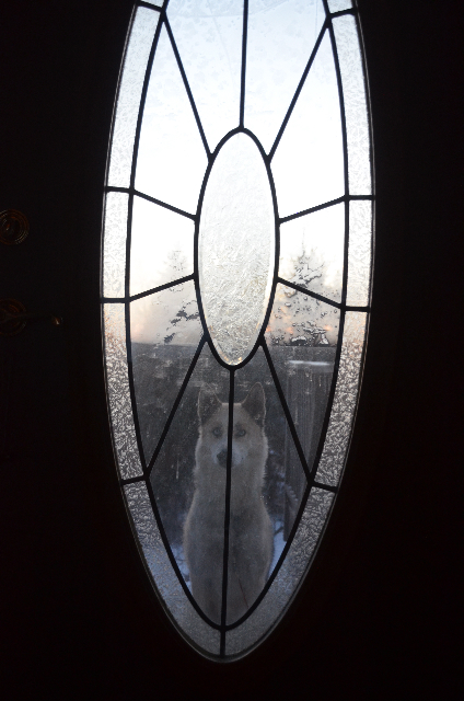 Time for a rest and some tea